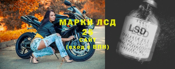 стаф Алексин
