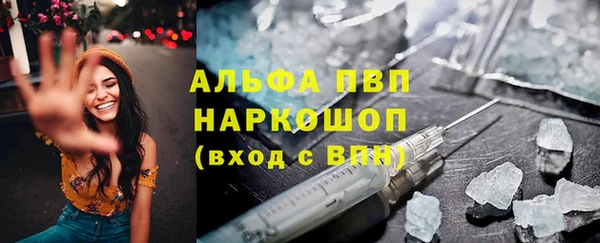 стаф Алексин