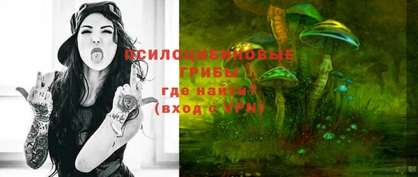 спиды Абаза