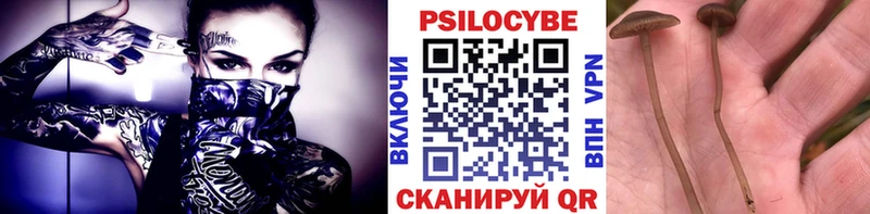 Галлюциногенные грибы Psilocybe Нелидово